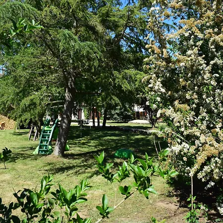 In Saint-jean Near Loire Castles *